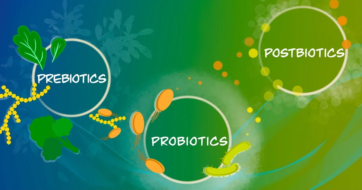 Prebiotics and Postbiotics Steal the Gut Health Spotlight