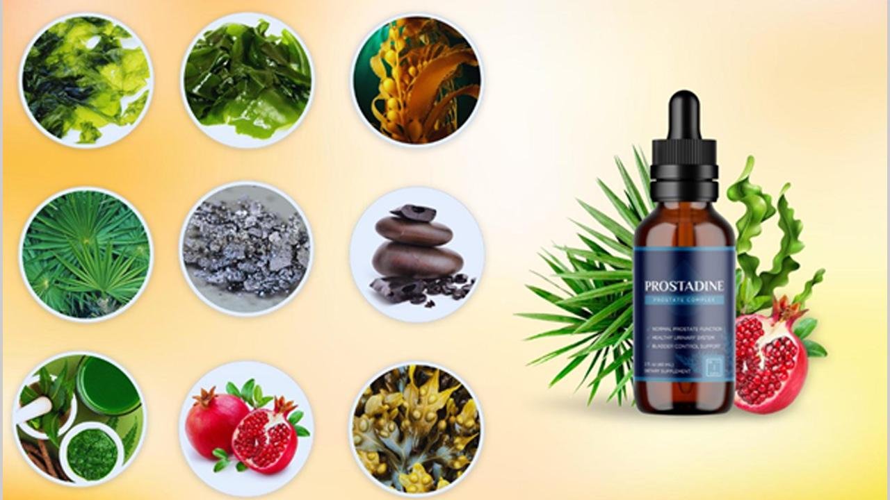 Prostadine Reviews Scam (Urgent Warning) Obvious Hoax Or Legit Prostate Health Support Formula?