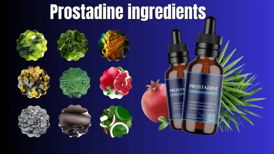 Prostadine Reviews (August 2023)- Is it effective and Safe ?